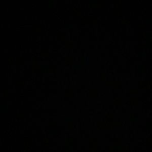 Meet your Posher, Monique